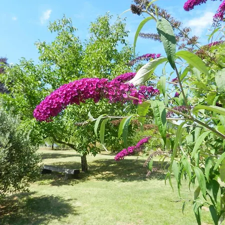 Séjour à la campagne Maison Champêtre Spacieuse Avec Jardin Et Terrasse - Fr-1-616-534 *