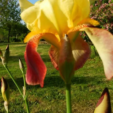 Maison Champetre Spacieuse Avec Jardin Et Terrasse - Fr-1-616-534 Holiday home *